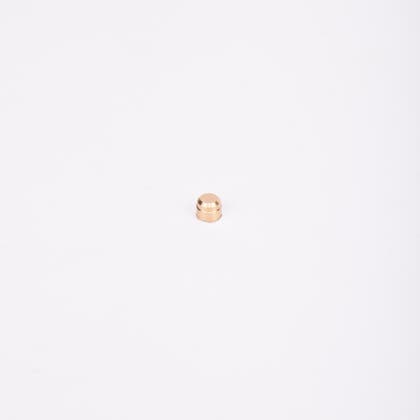 Liten cylindrisk plombering i guldfärg.