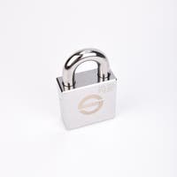 Silverfärgat hänglås med rektangulär kropp och rund bygel.