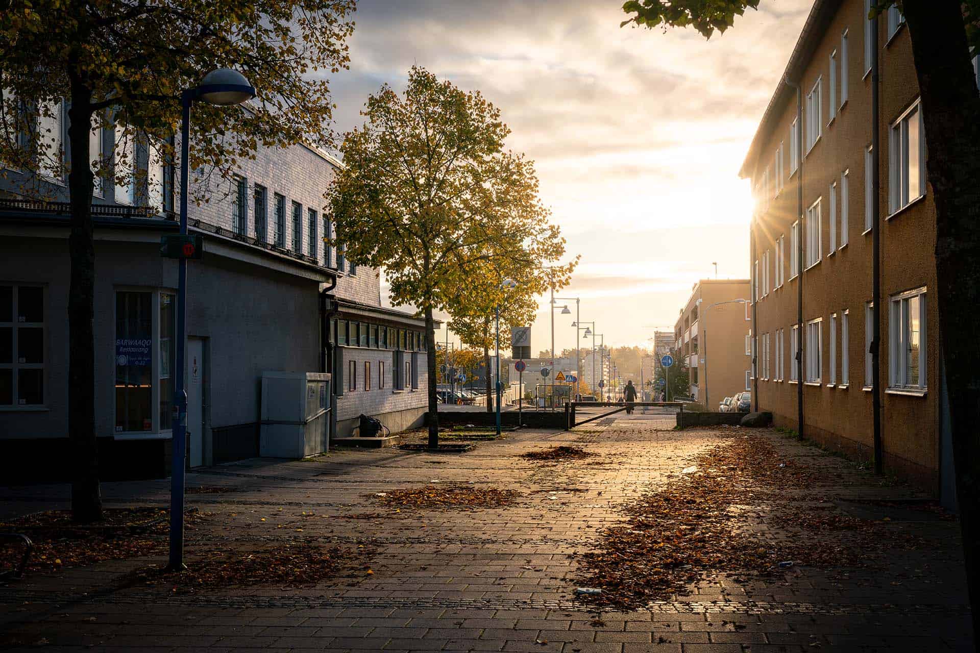 En gata med byggnader och träd