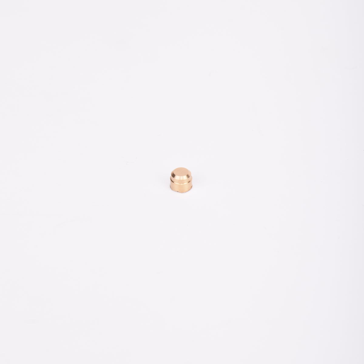 Liten cylindrisk plombering i guldfärg.