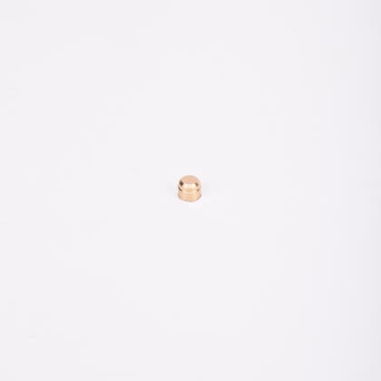 Liten cylindrisk plombering i guldfärg.